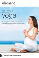 Essential Guide to Yoga DVD