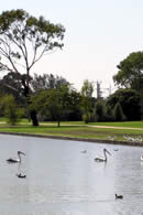 Walking Paths - Cherry Lake - Melbourne